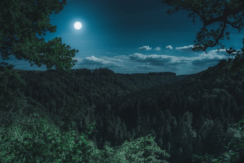 Full Moon Backdrop